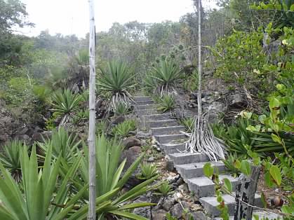 Let's get started. Anne Jennings Brown’s home on the coast of Roatan, Honduras