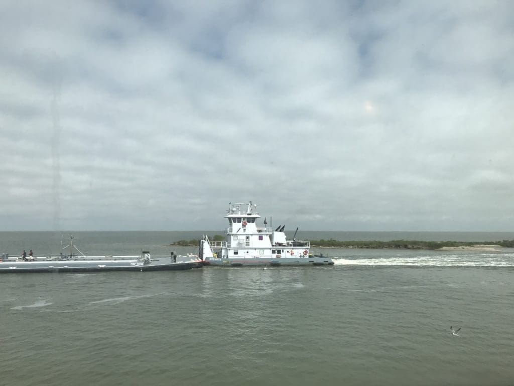 day trip - Galveston to High Island Rookery