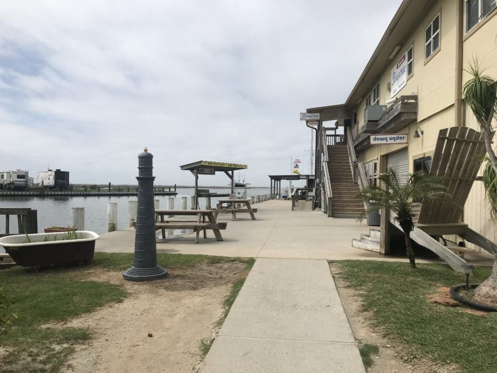 day trip - Galveston to High Island Rookery