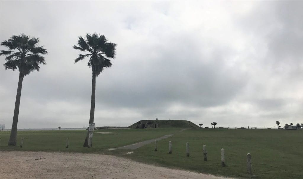 day trip - Galveston to High Island Rookery