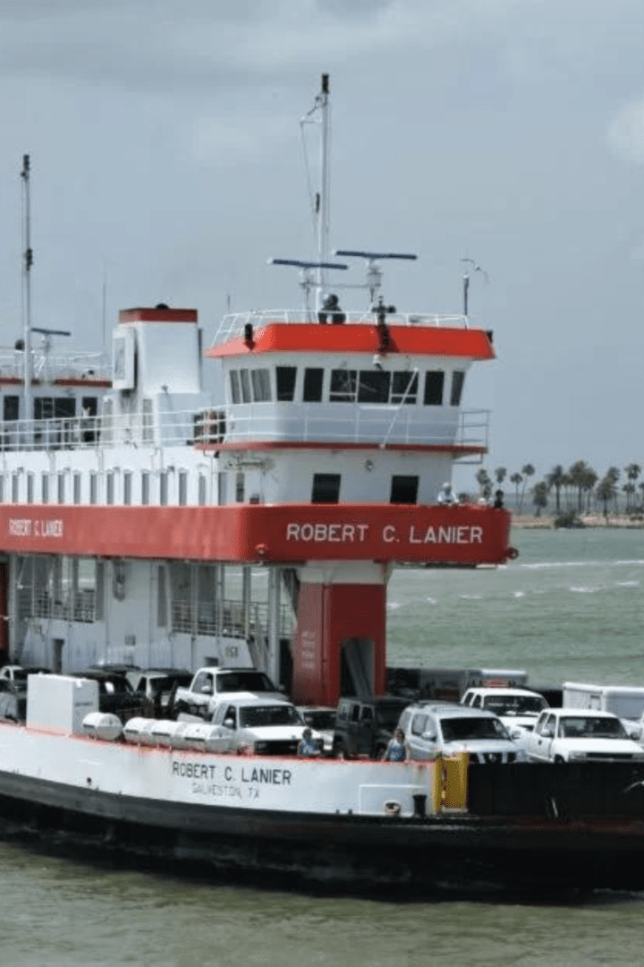 Day Trip Galveston to High Island Rookery