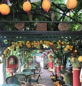 Oranges and lemons growing in Pompeii restaurant