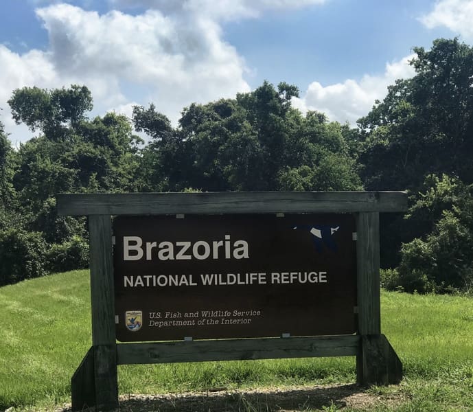 Brazoria county discoveries