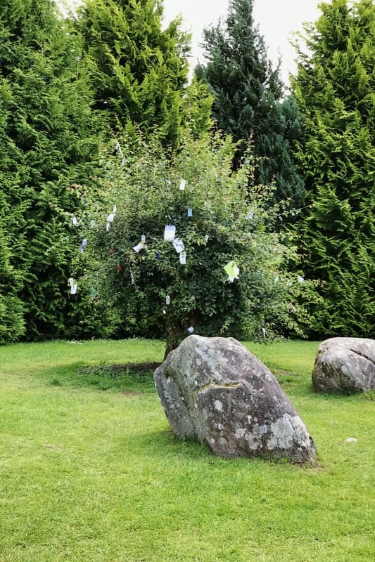 Kenmare stone circle and clootie tree