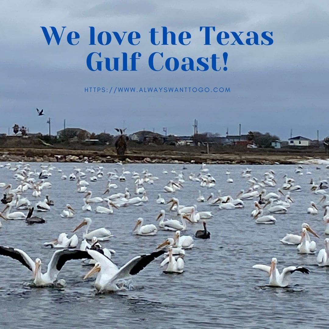 Why do we love the Texas Gulf Coast?
