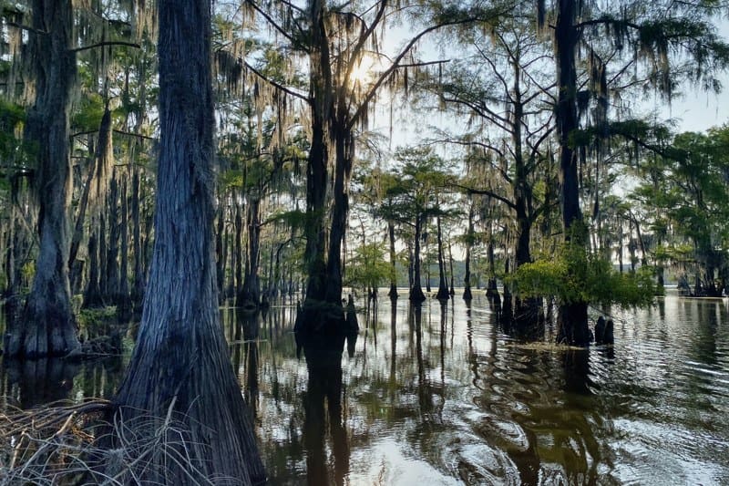 Remarkable RV trip to Caddo Lake