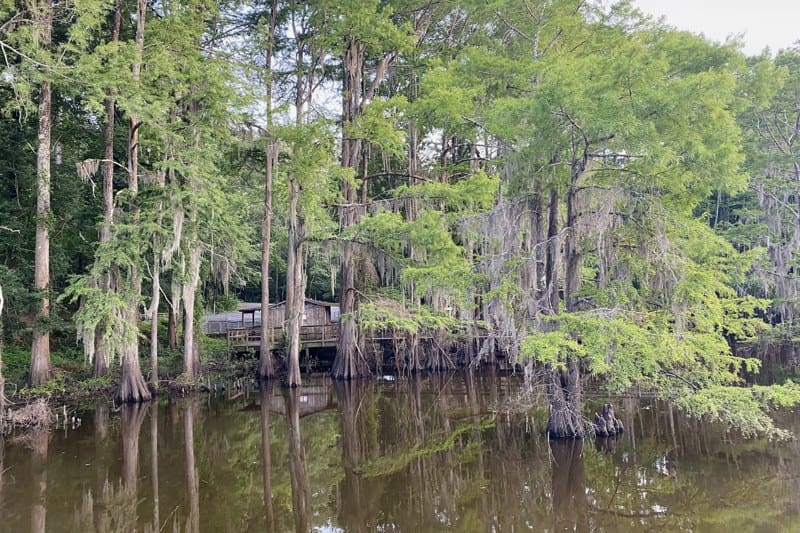 Remarkable RV trip to Caddo Lake