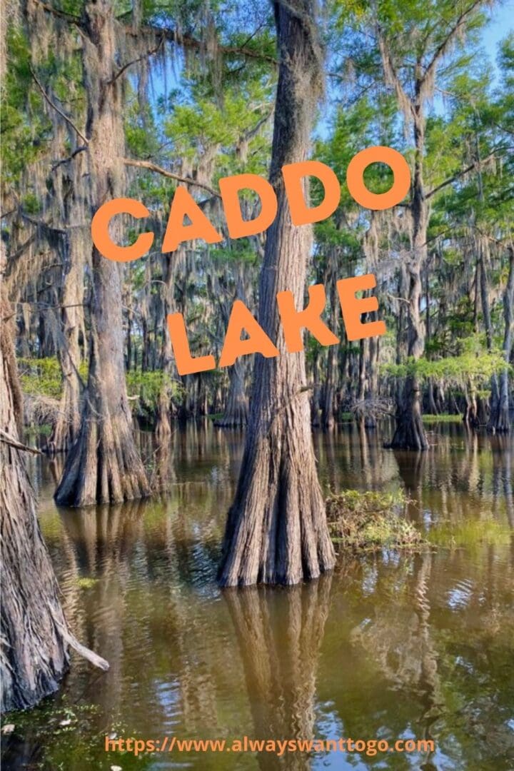 Remarkable and fun RV trip at Lake Caddo