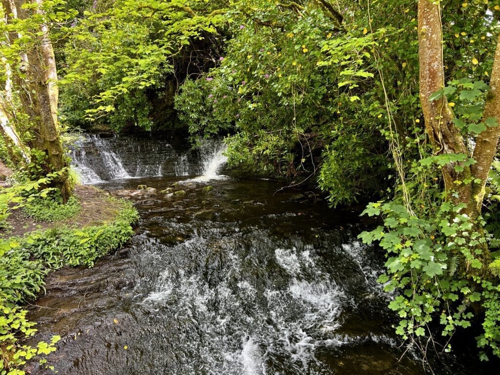 Lush, green beautiful Ireland