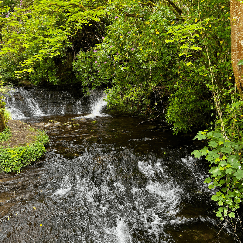 Lush, green beautiful Ireland