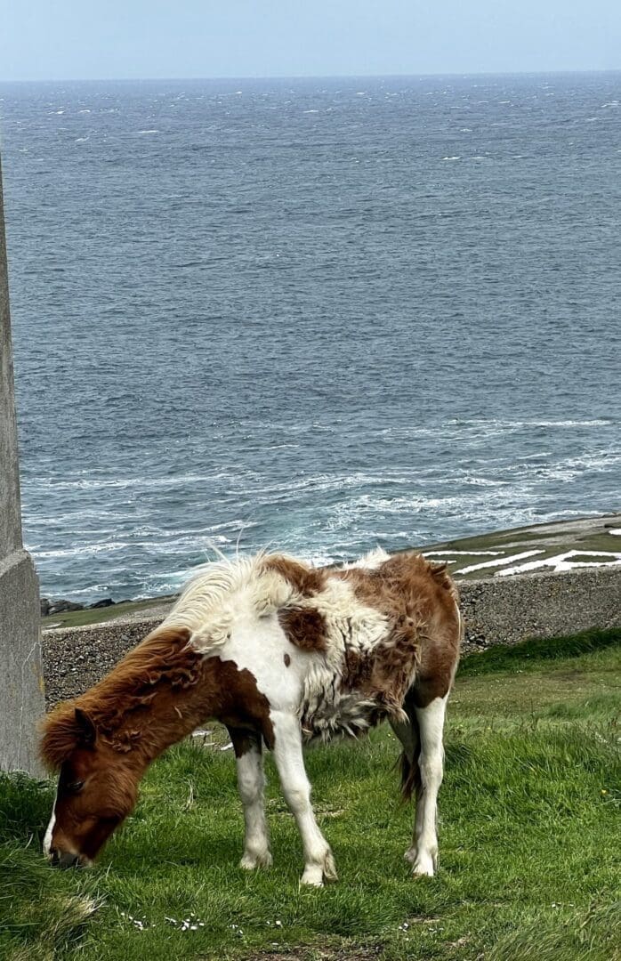 Lush, green beautiful Ireland