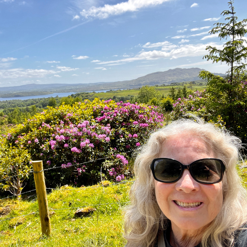 Lush, green beautiful Ireland