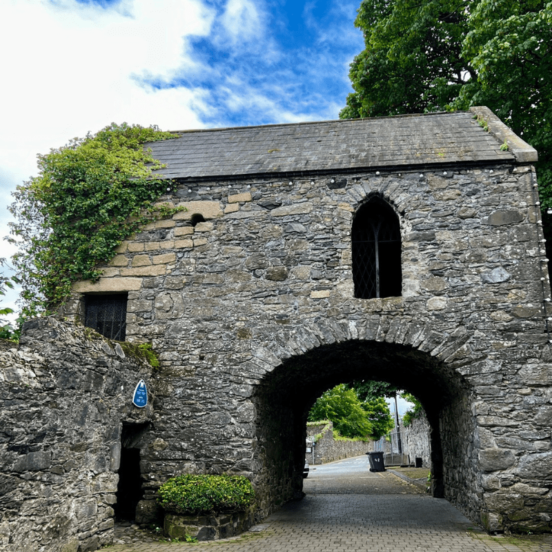 ancient history in County Louth