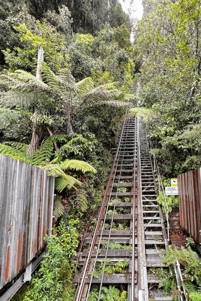 our incredible first days in Australia